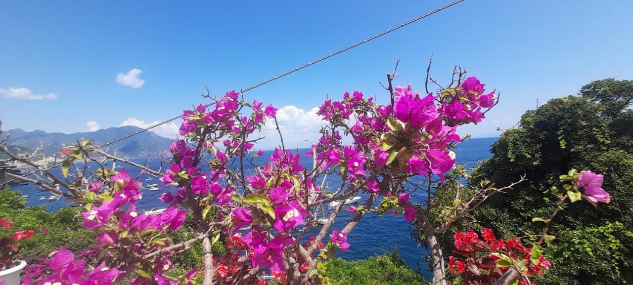 Gianna Amalfi Coast Vakantiehuis *