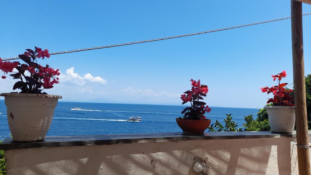 Gianna Amalfi Coast